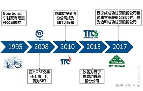 越南食品行業新星 SBT公司財務咨詢及業務簡介